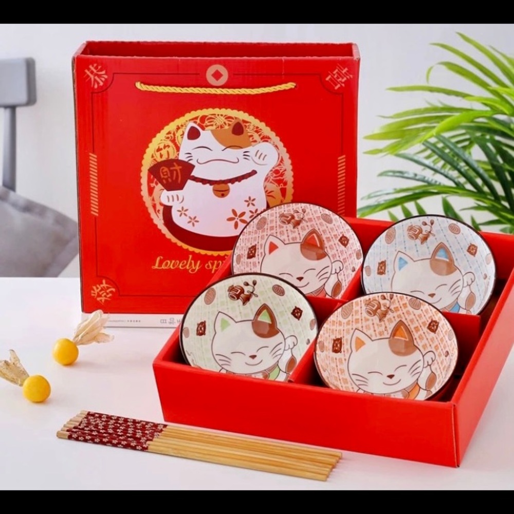 NWT - Lovely Spirit Thing porcelain bowl and chopstick set.